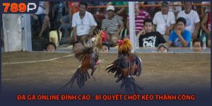 Đá Gà Online Đỉnh Cao - Bí Quyết Chốt Kèo Thành Công